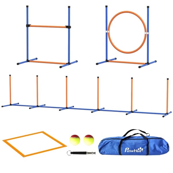 Dog Agility Sæt, Orange, Blå