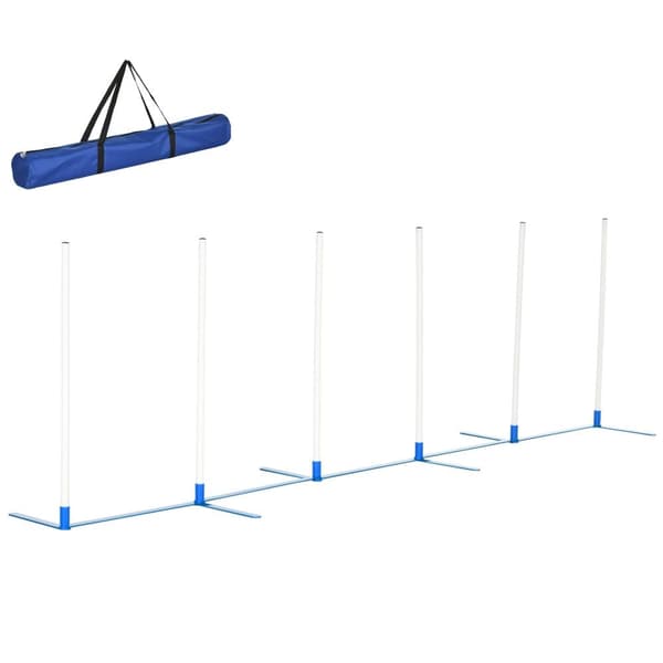 Ketteryysharjoittelusetti, koiran agilityesteet, 305x60x94 cm, valkoinen ja sininen