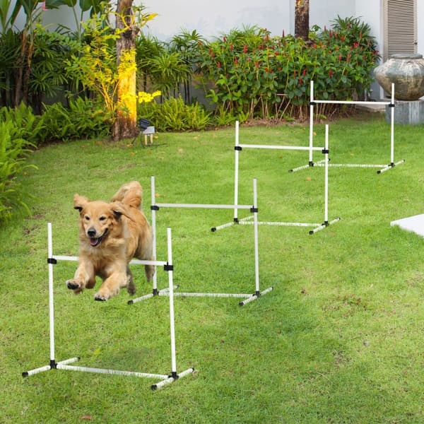 Hundträningsset, Agility, 99x65x94 cm, Vit