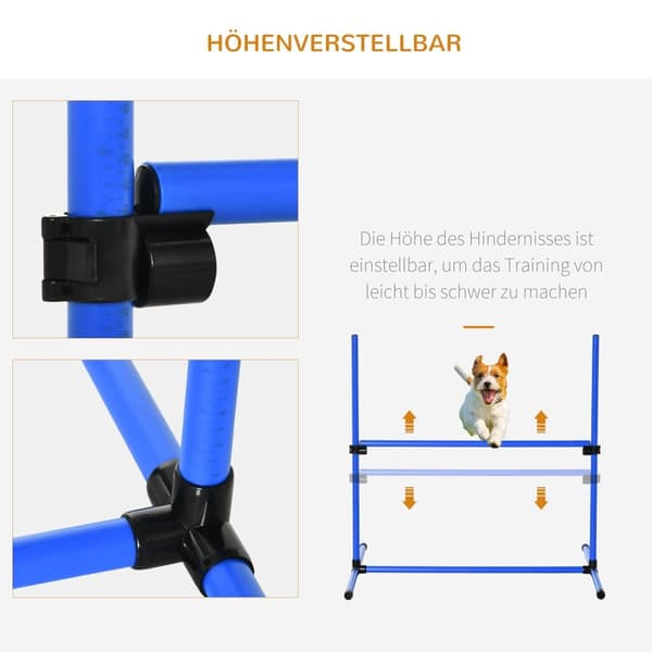 Dog Agility Sæt, 99x65x94 cm, Blå