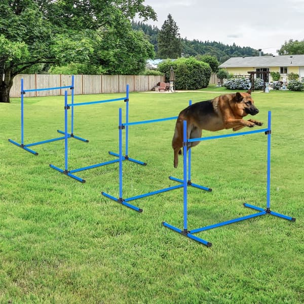 Dog Agility Sæt, 99x65x94 cm, Blå