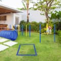Miniatyrbillede 2 af 9: Dog Agility Øvelsessæt, Blå og Gul