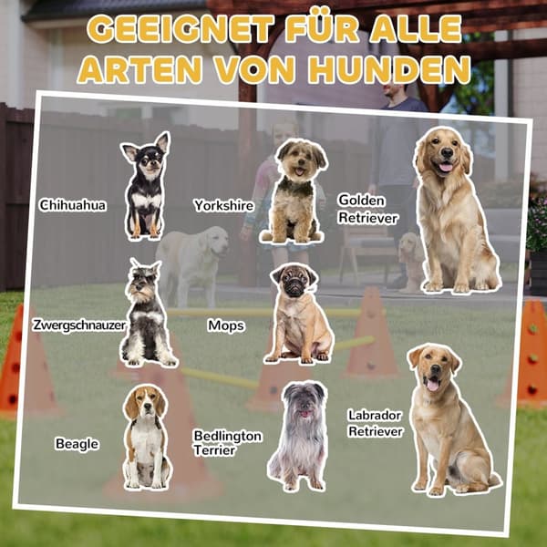Rootz Agility Set Dogs - Dog Training Equipment - Canine Fitness Gear - Forbedrer koncentrationen - 80 cm x 22,5 cm x 30 cm