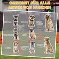 Miniatyrbillede 8 af 10: Rootz Agility Set Dogs - Dog Training Equipment - Canine Fitness Gear - Forbedrer koncentrationen - 80 cm x 22,5 cm x 30 cm