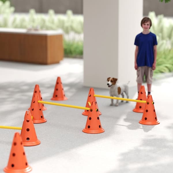 Rootz Agility Set Dogs - Dog Training Equipment - Canine Fitness Gear - Forbedrer koncentrationen - 80 cm x 22,5 cm x 30 cm