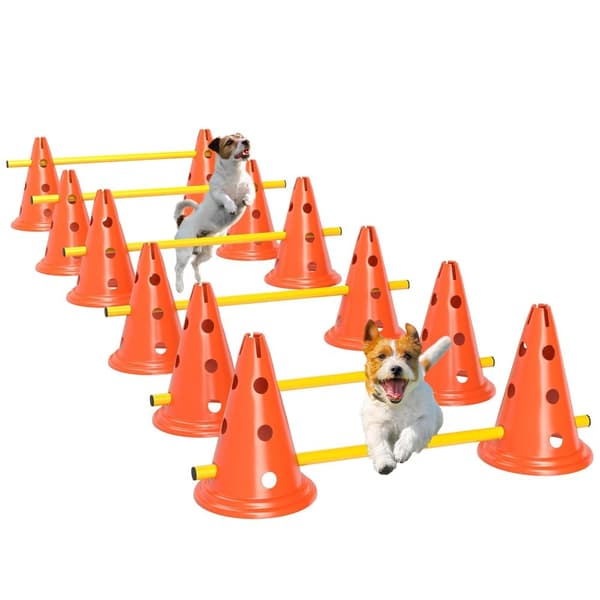 Rootz Agility Set Dogs - Dog Training Equipment - Canine Fitness Gear - Forbedrer koncentrationen - 80 cm x 22,5 cm x 30 cm