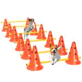 Miniatyrbillede 10 af 10: Rootz Agility Set Dogs - Dog Training Equipment - Canine Fitness Gear - Forbedrer koncentrationen - 80 cm x 22,5 cm x 30 cm