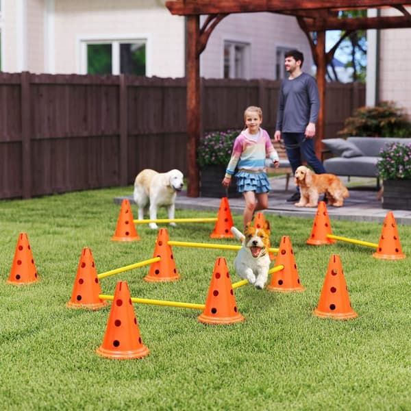 Rootz Agility Set Dogs - Dog Training Equipment - Canine Fitness Gear - Forbedrer koncentrationen - 80 cm x 22,5 cm x 30 cm
