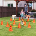 Miniatyrbillede 2 af 10: Rootz Agility Set Dogs - Dog Training Equipment - Canine Fitness Gear - Forbedrer koncentrationen - 80 cm x 22,5 cm x 30 cm