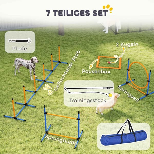 Rootz 7 -Darts Agility Equipment Set til hunde - Træningskurs