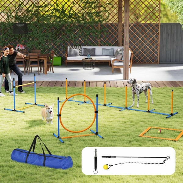 Rootz 7 -Darts Agility Equipment Set til hunde - Træningskurs