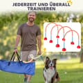 Miniatyrbillede 5 af 10: Rootz 4 -Dart Dog Agility Training Set - Dog træningsudstyr - Træningsudstyr - Justerbar bredde - Bærbart med bærepose - 100x19,5x95 cm