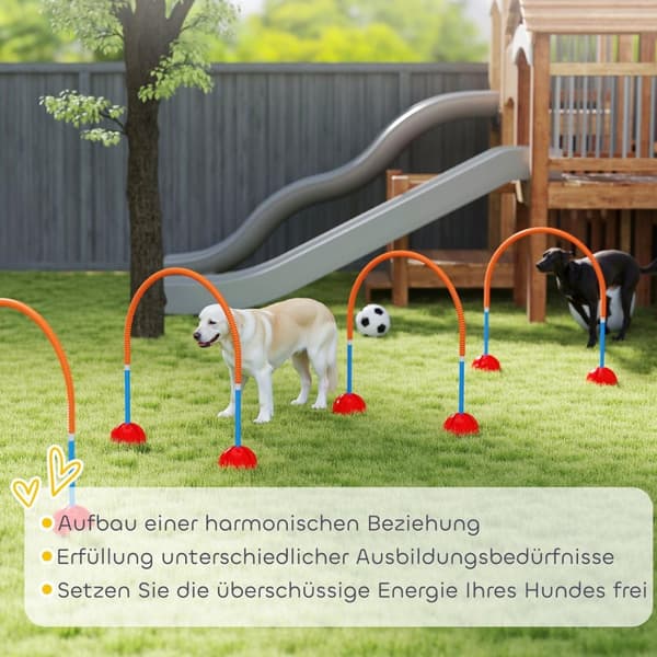 Rootz 4 -Dart Dog Agility Training Set - Dog træningsudstyr - Træningsudstyr - Justerbar bredde - Bærbart med bærepose - 100x19,5x95 cm