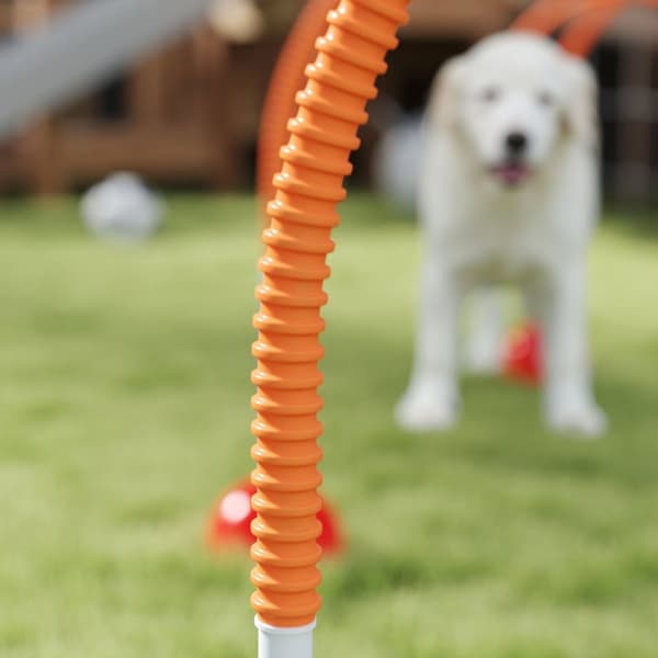 Rootz 4 -Dart Dog Agility Training Set - Dog træningsudstyr - Træningsudstyr - Justerbar bredde - Bærbart med bærepose - 100x19,5x95 cm