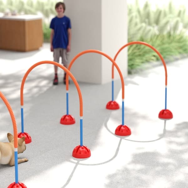 Rootz 4 -Dart Dog Agility Training Set - Dog træningsudstyr - Træningsudstyr - Justerbar bredde - Bærbart med bærepose - 100x19,5x95 cm