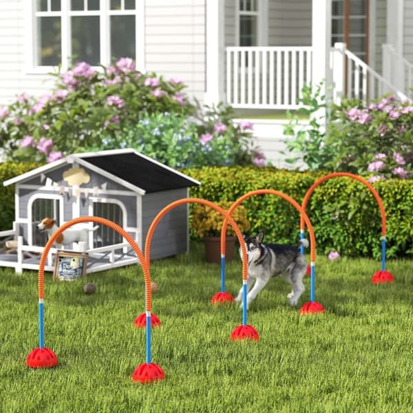 Rootz 4 -Dart Dog Agility Training Set - Dog træningsudstyr - Træningsudstyr - Justerbar bredde - Bærbart med bærepose - 100x19,5x95 cm