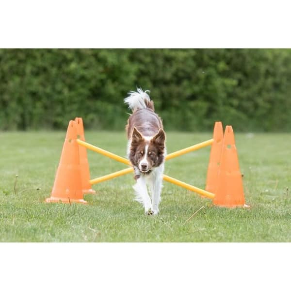TRIXIE Sæt med 3 forhindringsaktiviteter - Ø 23 × 30 cm - 78 cm - Orange og gul - Til hunde