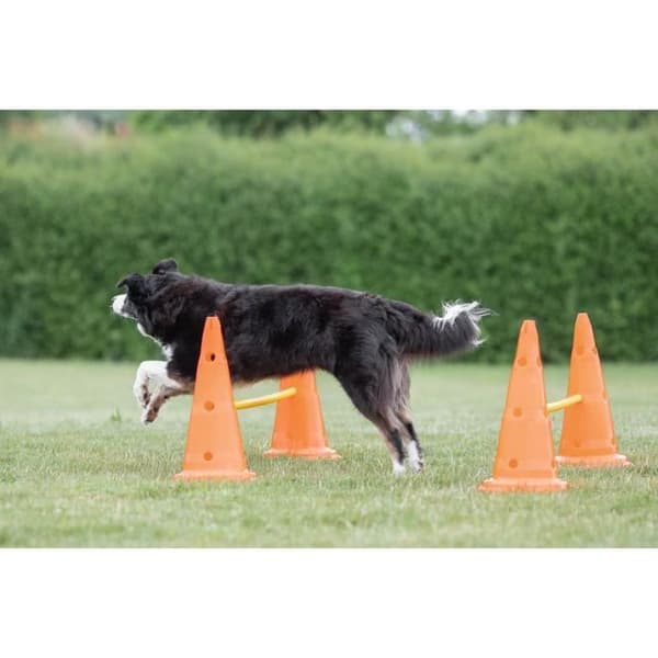 TRIXIE Sæt med 3 forhindringsaktiviteter - Ø 23 × 30 cm - 78 cm - Orange og gul - Til hunde