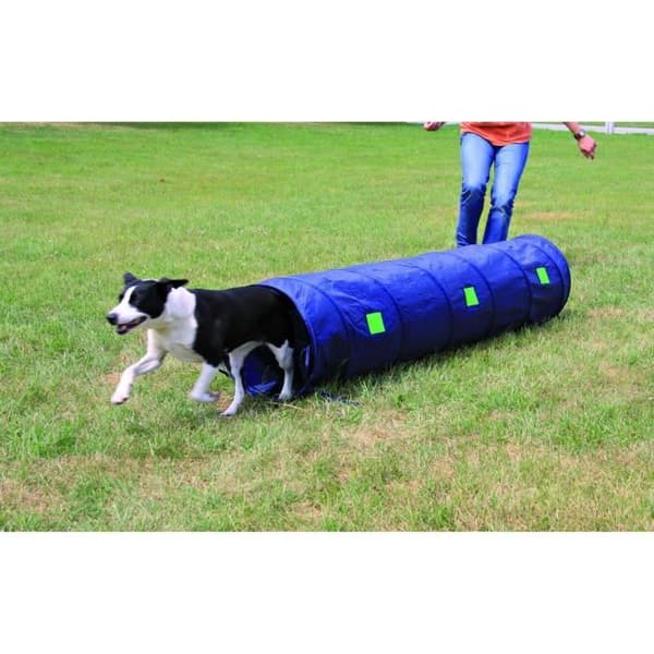 TRIXIE Agility Course Tunnel 2m Blå