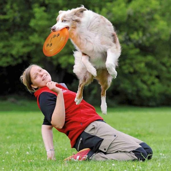 Leksak för hundar - Frisbee - Plast - Tävlingsgodkänd - För små hundar - Utomhus