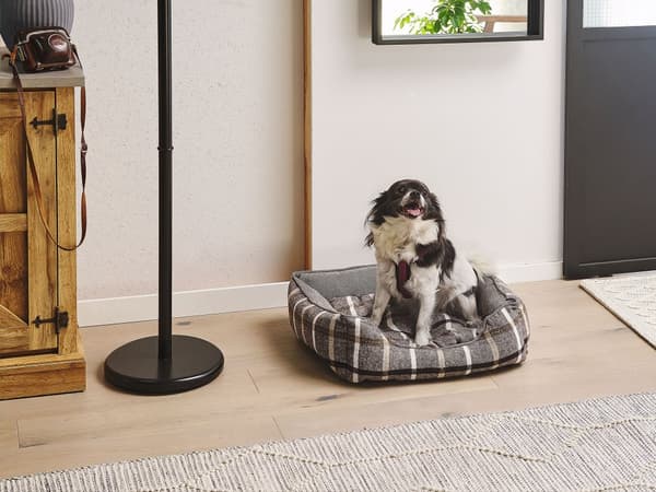 Hundeseng Katteseng Grå Firkantet Ternet Mønster