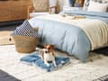 Miniatyrbillede 2 af 7: Hundeseng Blå Velour Polyester Kvaster 60 x 45 cm Moderne Design Stor Pude til Hunde Dyr