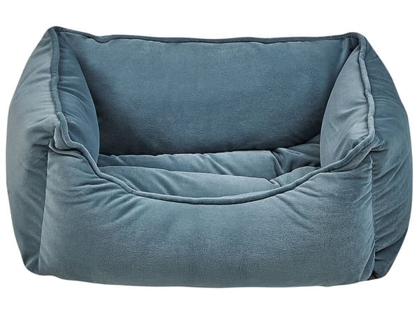 Koiran peti sininen 50 x 18 x 35 cm sametti polyesteri suorakulmio lemmikin peti