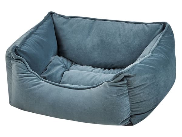 Koiran peti sininen 50 x 18 x 35 cm sametti polyesteri suorakulmio lemmikin peti