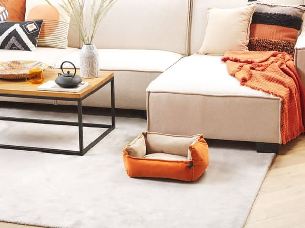 Koiran peti oranssi/beige 50 x 18 x 37 cm sametti polyesteri suorakulmio käännettävä lemmikin peti