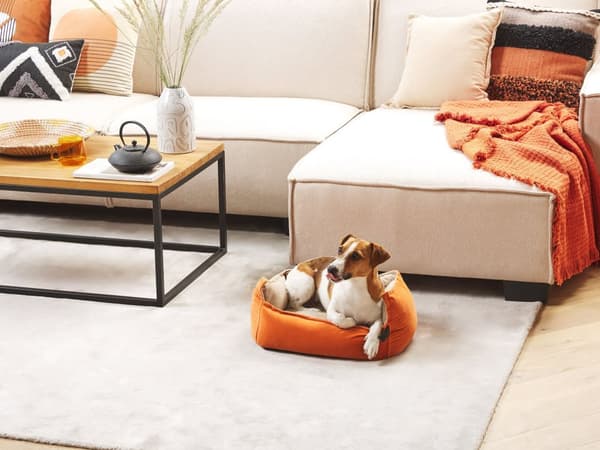 Dyreseng Orange Beige Polyester 50 x 37 cm Vendbar Velour Rektangulær Hund Kat Blød krammepude Stue Soveværelse