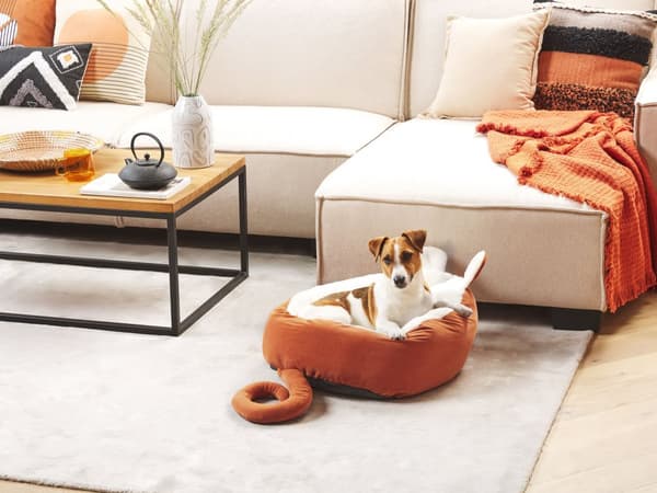 Hund- och Kattsäng Orange Polyester 50 x 45 cm Musformad Soffskydd