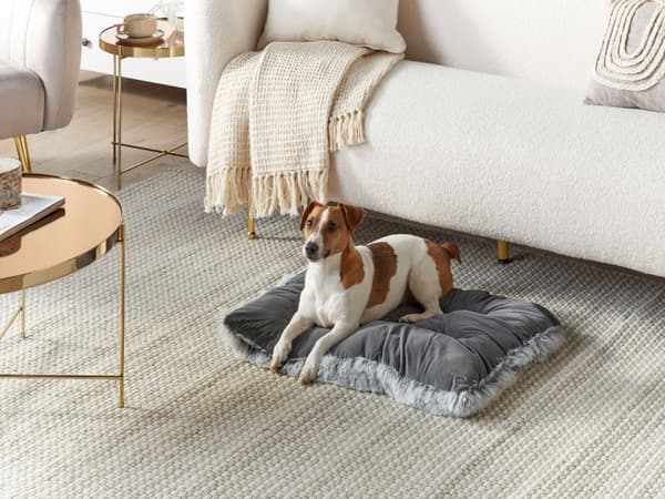 Hundeseng Grå Velour Polyester 60 x 45 cm Moderne Blød Hundepude med Frynser Design Hundemadras Seng til Hunde Dyreseng Tilbehør Slidstærkt