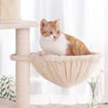 Miniatyrbild 6 av 7: FEANDREA kattträd, högt katttorn, 2 grottor, Beige