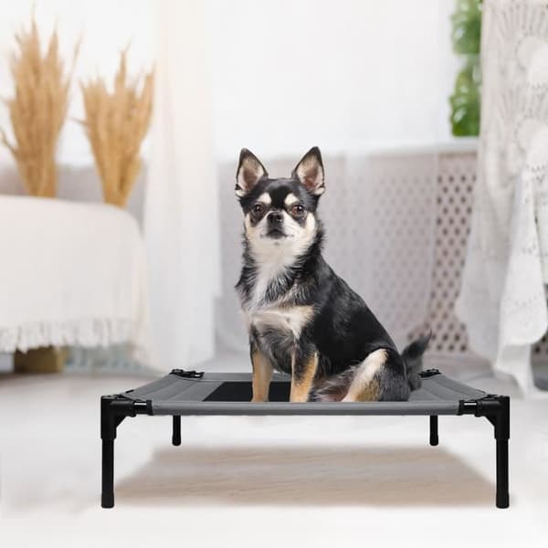 Säng för hund med veranda - XMTECH - 76x61x76cm - Kapacitet 40KG - Grå - För liten hund