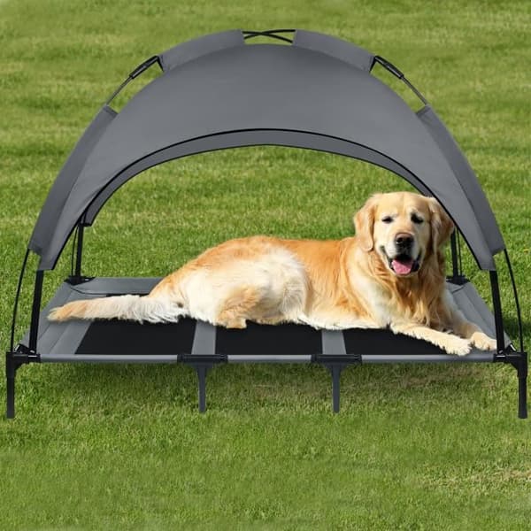 XMTECH Hundkattsäng med kapell, husdjurssäng, förhöjd kattsäng för stora hundar Kapacitet 60 kg, 122x92x102 cm, grå