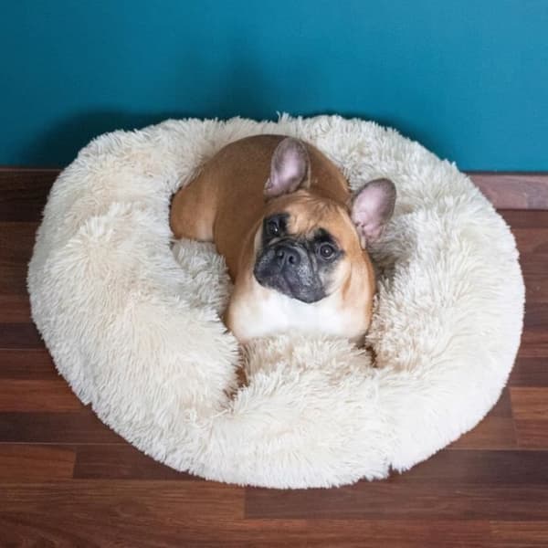 Säng för hund och katt - SPRINGOS® - Beige - 90 cm - Mjuk stoppning - Tvättbar i 30°