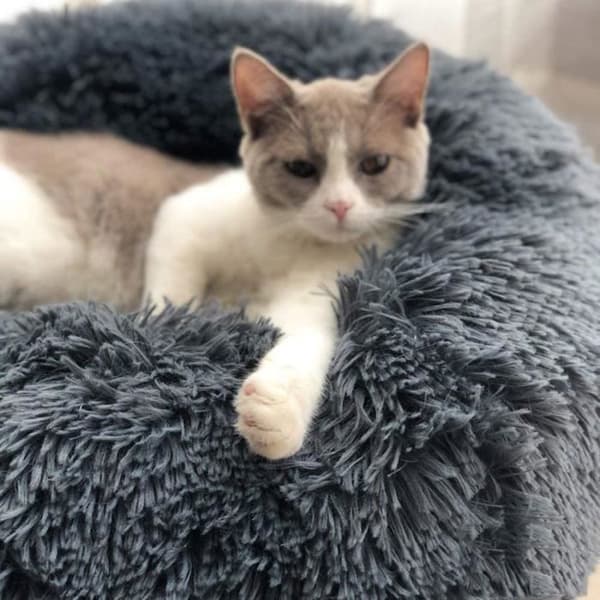 Tvättbar extra stor rund mjuk katt- och hundsäng med kudde，Djurkorg Deluxe-100x100cm-Grå