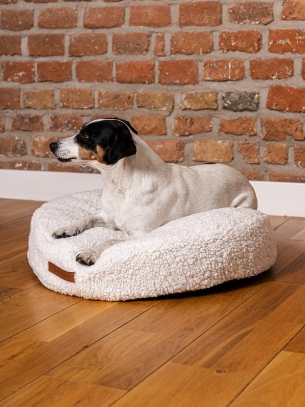 Coco Teddy bekväm hund- eller kattkudde, ljusbeige storlek S