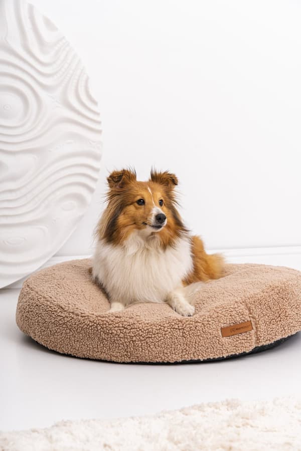 Coco Teddy bekväm hund- eller kattkudde, ljusbeige storlek S