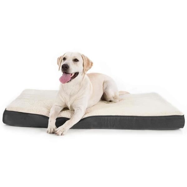 Ortopedisk avtagbar hundkudde - stor hundmatta 112x81x7,6 cm, hundsäng i skum