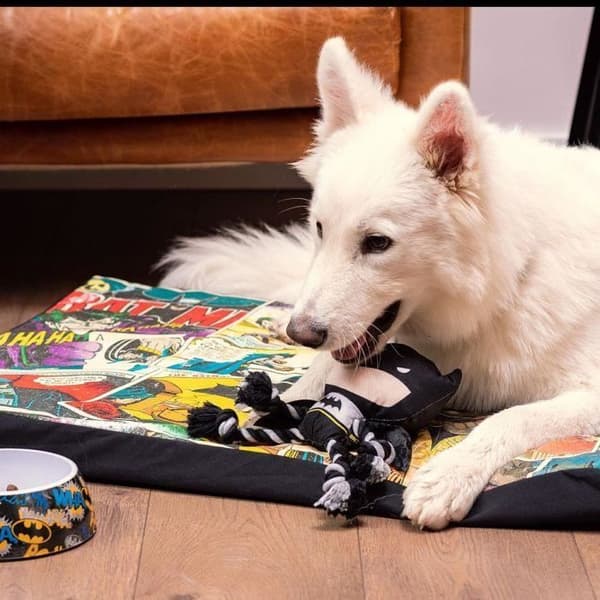 Djurmadrass - Batman - Storlek S - Grå - Rektangulär - Inomhus - Hund