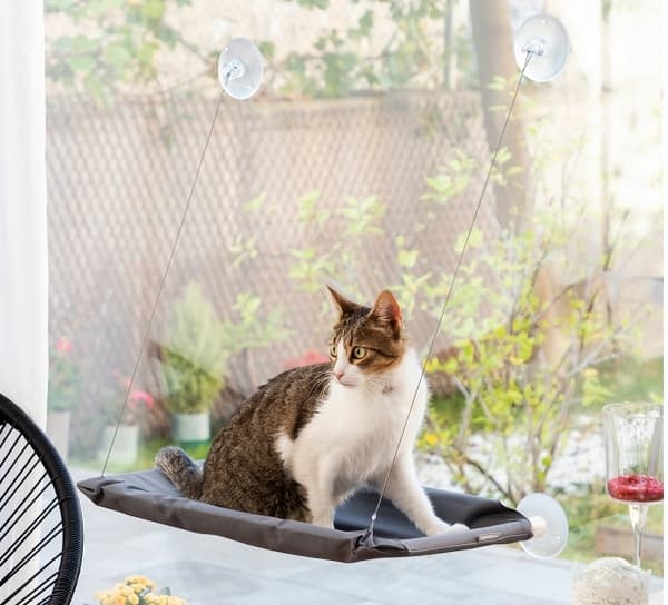 CATLAX INNOVAGOODS RIIPPULLINEN RIIPPUPUTO KISSAILLE