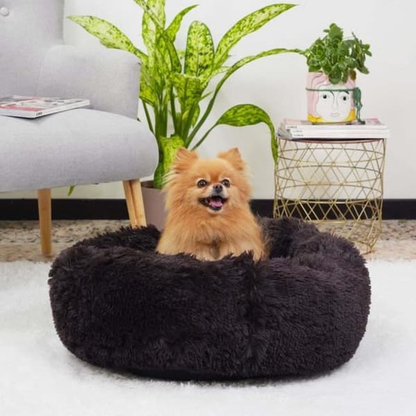 Coussin för hund och katt Ferplast Cuddly 80