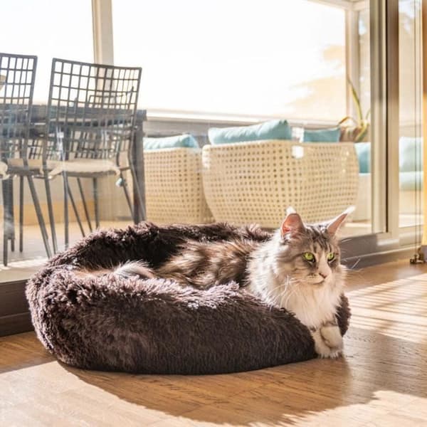Coussin för hund och katt Ferplast Cuddly 80