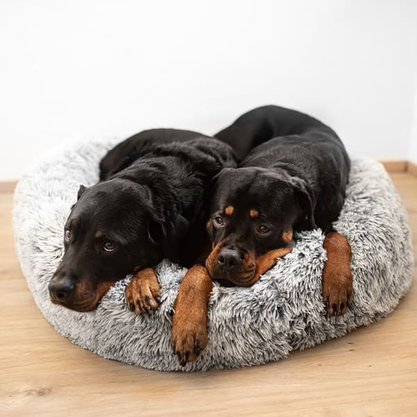 Lit komfort donuts för hund Nobby Pet Nuru