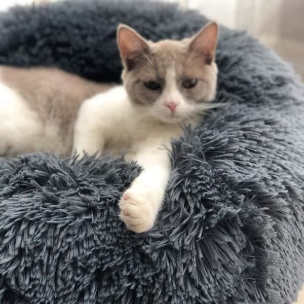 Tvättbar extra stor rund mjuk katt- och hundsäng med kudde，Djurkorg Deluxe-100x100cm-Grå