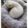 Miniatyrbild 4 av 4: TD® Deep sleep kennel rund kennel höst och vinter kennelmatta kattmadrass små och medelstora hundar