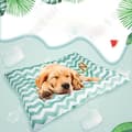 Miniatyrbild 2 av 4: TD® Ice Pad för husdjur under 40 kg Sommarmatta Hundskyddsdyna 116*76cm