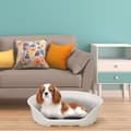 Miniatyrbild 3 av 6: Corbeille - FERPLAST - SIESTA DELUXE 6 - Grön