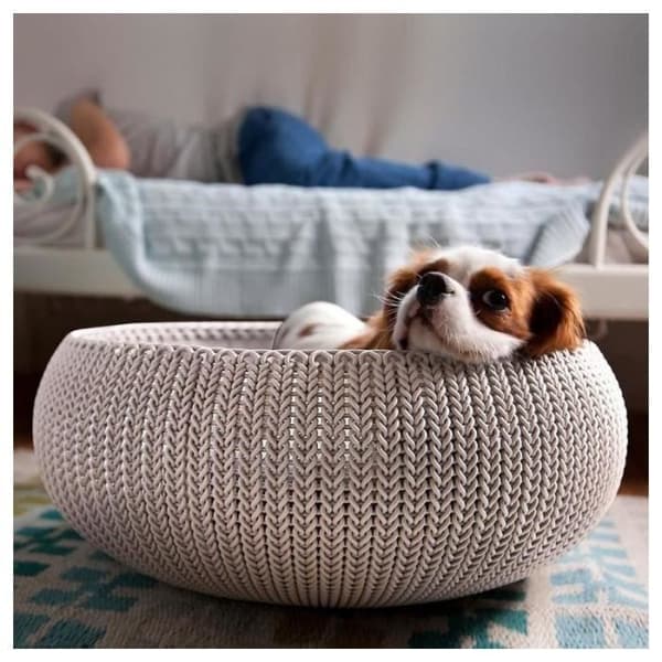 Curver "Cozy" Pet Bed 50 x 22 cm Kräm